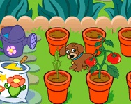 Dora's magical garden Dors jtkok ingyen